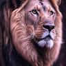 CHRISTOPHER AMOAH's profile picture