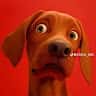 Mr Ackahson's profile picture