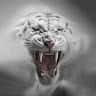 Offei Benjamin's profile picture
