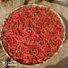 Salam Ngula's profile picture